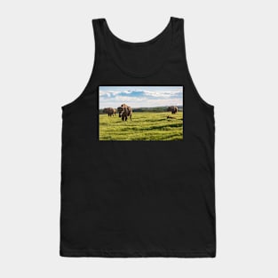 Bison Herd Tank Top